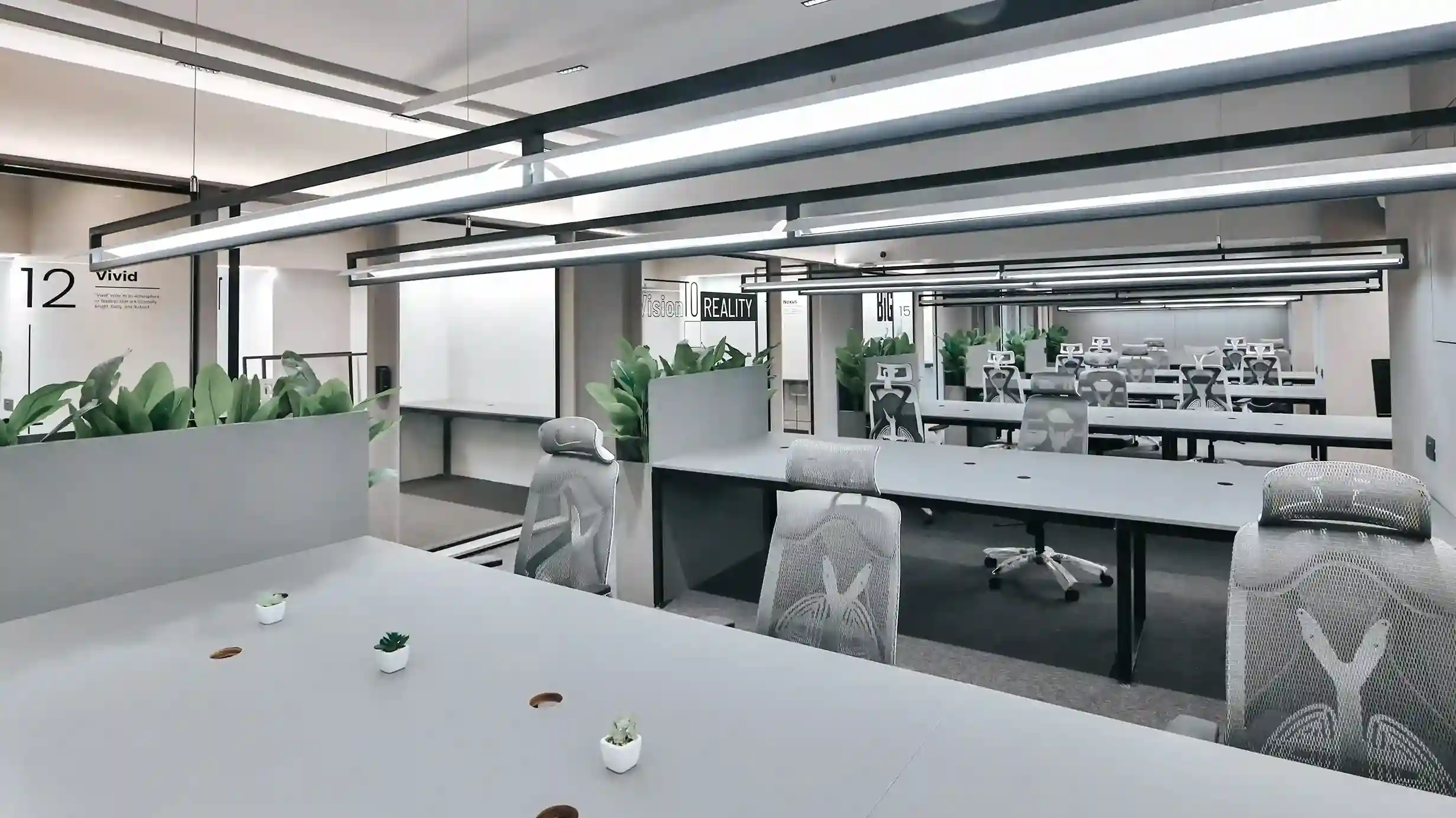Modern affordable hot desk workspace with ergonomic chairs, shared desks, indoor plants, and bright lighting in a coworking office
