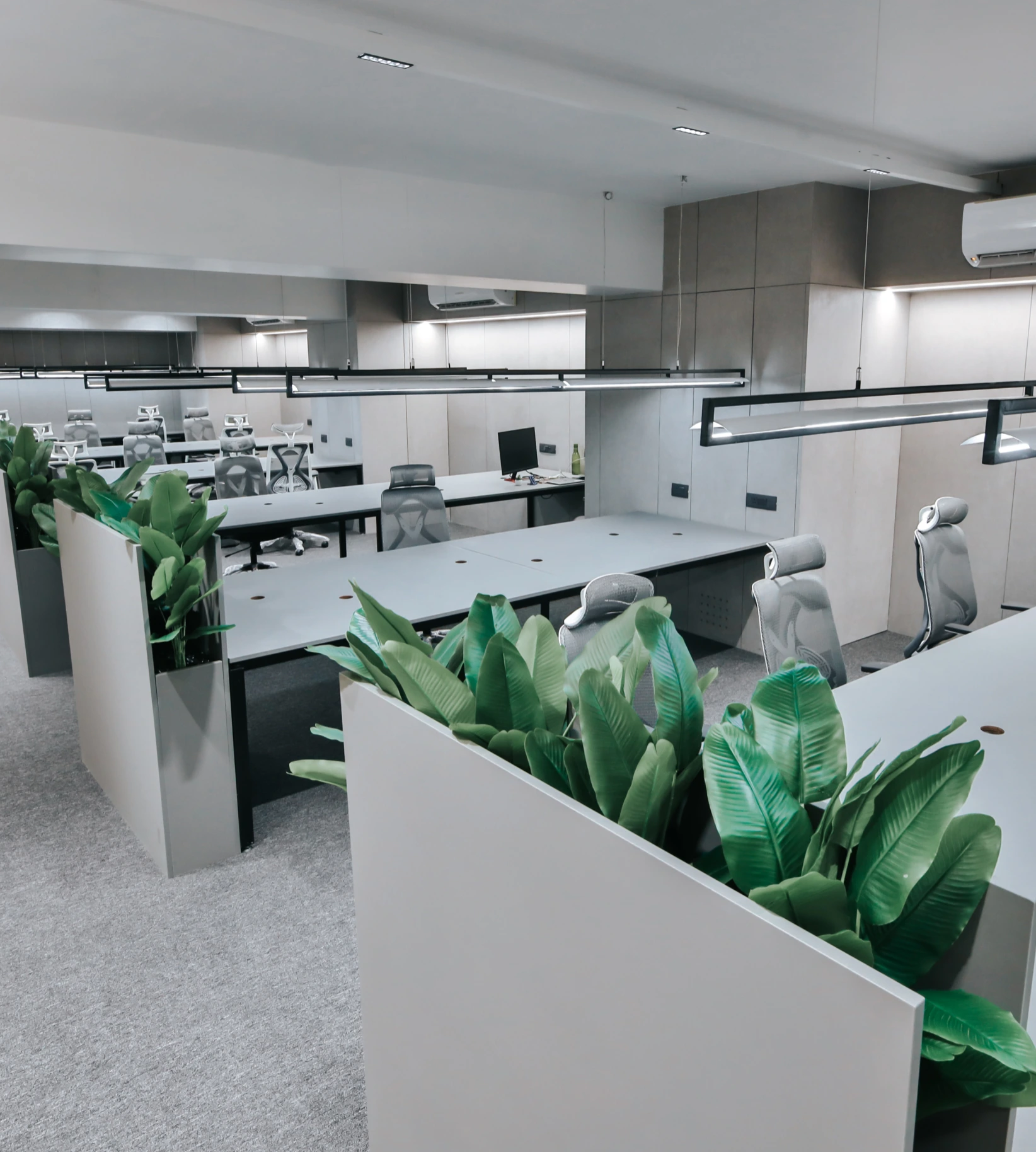Modern open-plan coworking office with spacious desks, ergonomic chairs, green plants, and minimalist interior design.